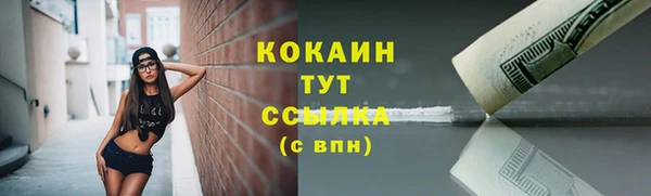 соль ск Абаза