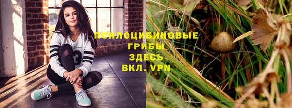 гашик Абинск