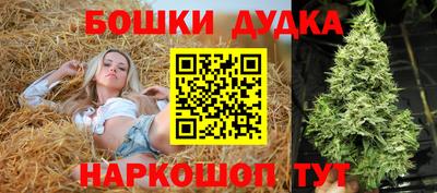 сатива Краснокаменск