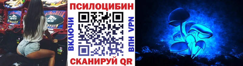 как найти   блэк спрут зеркало  Галлюциногенные грибы Psilocybine cubensis  Смоленск 